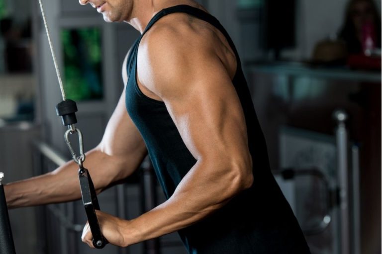 What Is the Triceps: Anatomy, Functions and Best Exercises