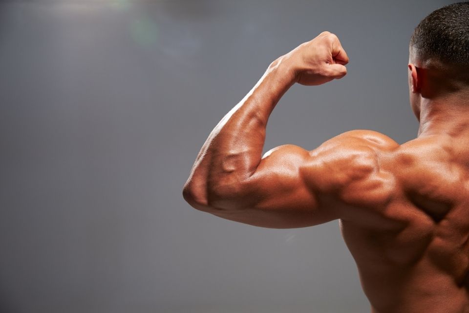 What Is Cutting? Complete Guide to Define Muscles and Lose Fat