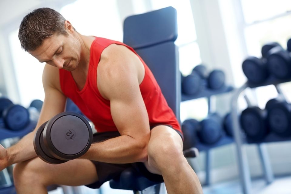 What Is Bulking? Understand the Muscle Growth Phase