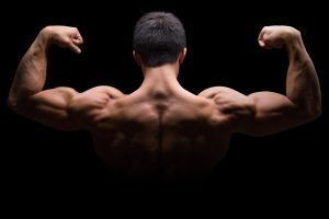 O que é hipertrofia muscular? Guia completo para ganhar massa!