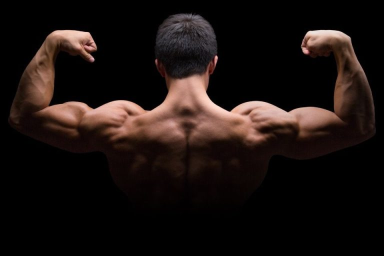 What Is Hypertrophy and How to Stimulate Muscle Growth