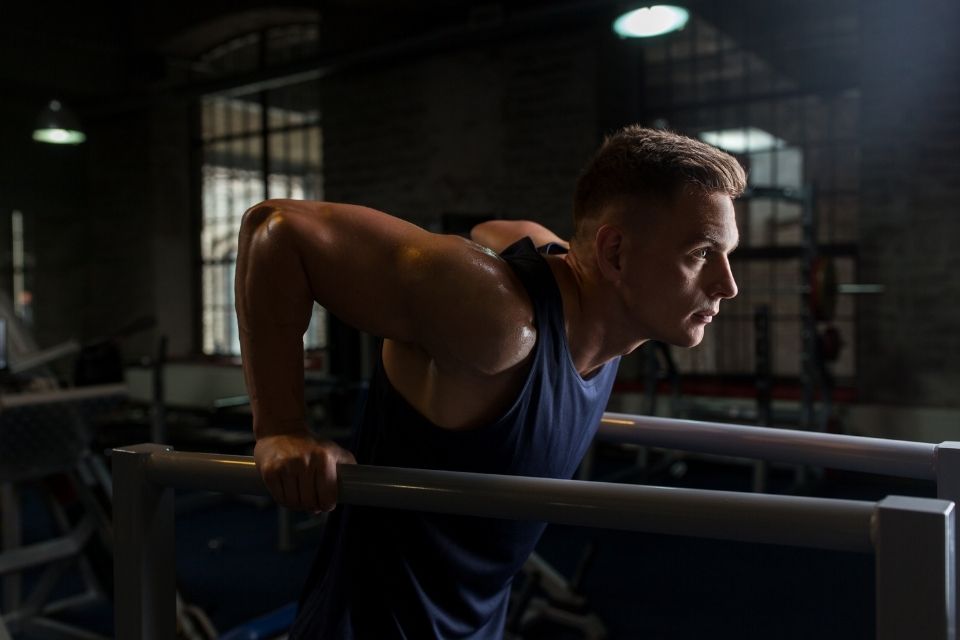 O que é Tríceps? Função, Exercícios e Como Fortalecer o Músculo do Braço