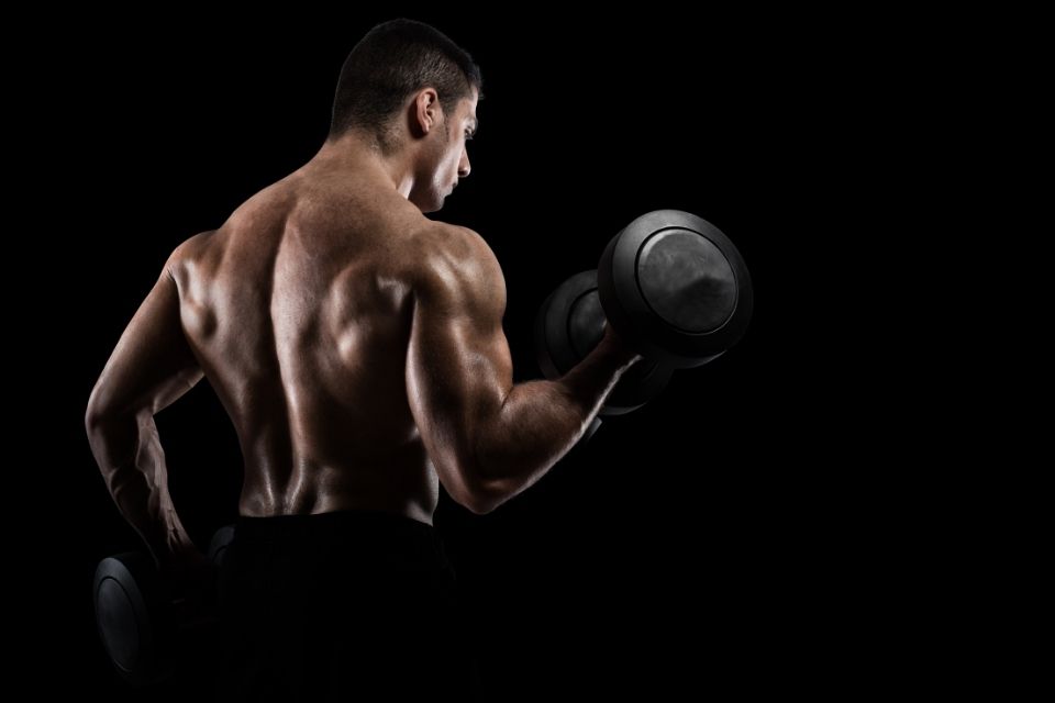 Entrenamiento de Bíceps: Ejercicios, Técnicas y Consejos para Brazos Fuertes y Definidos