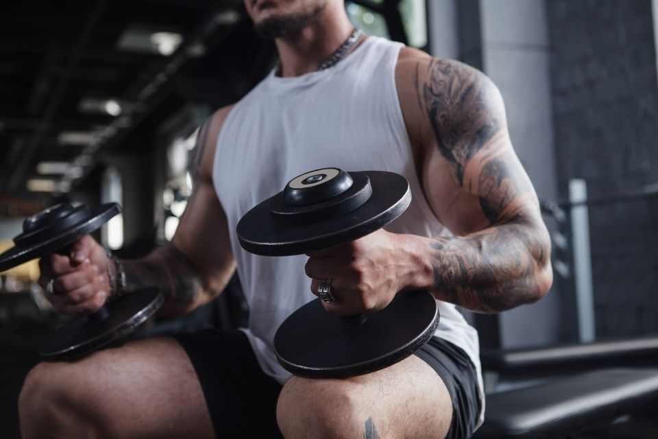 Qué es la Hipertrofia Muscular: Ejercicios, tipos y diferencias con hiperplasia