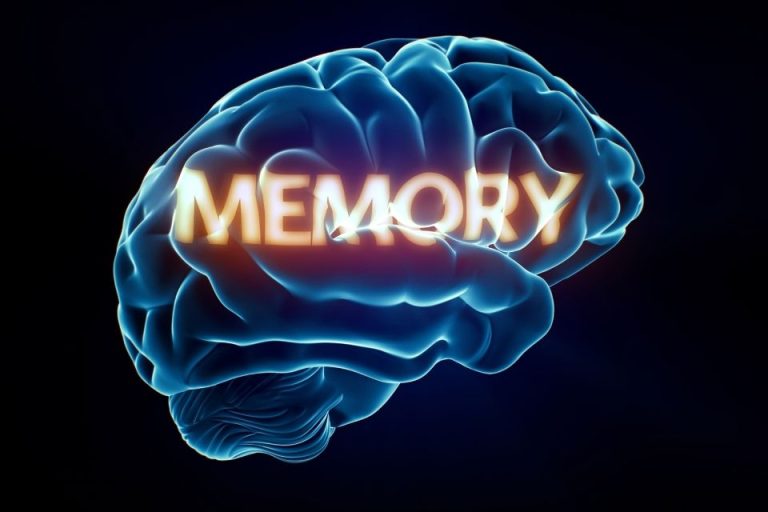 Memória muscular: O que é, como funciona e sua importância no treino