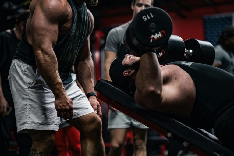 Treino ABC: Ficha com divisão de treino masculino e feminino