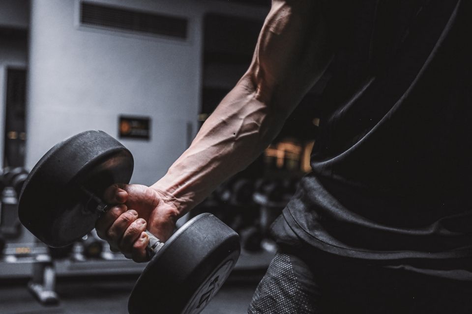 Treino de braço: Guia completo para força e hipertrofia