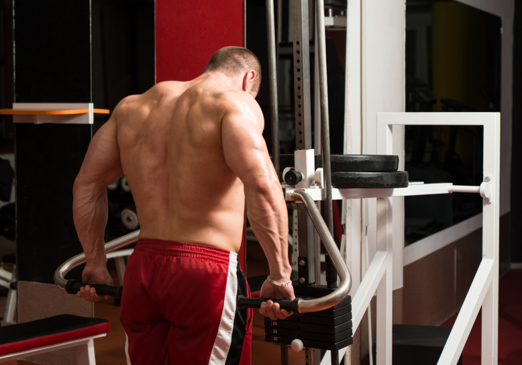 Exercícios para Trapézio: Guia Completo para Montar um Treino Completo