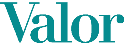 logo-valor-economico